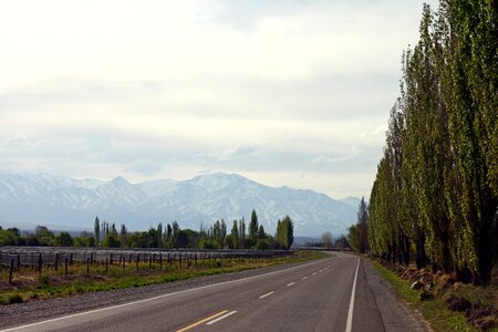 Mendoza landscape asphalt