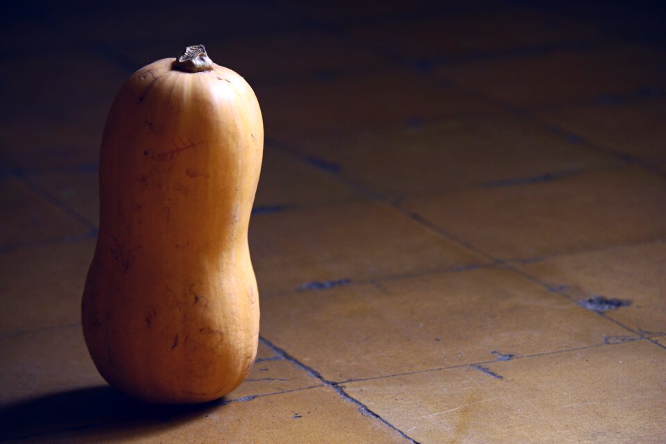Pumpkin orange Free photos