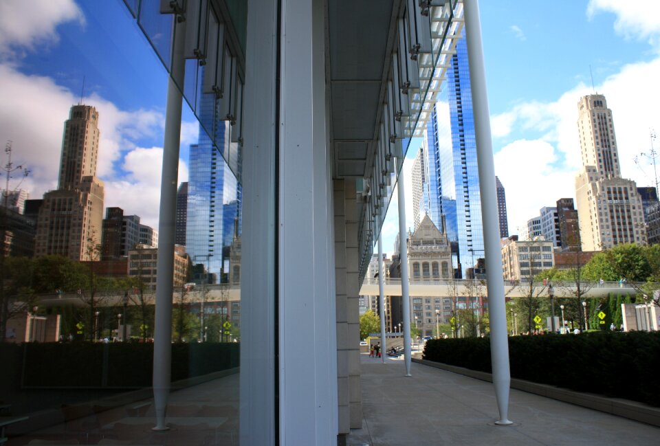 Downtown art institute of chicago rick lobes