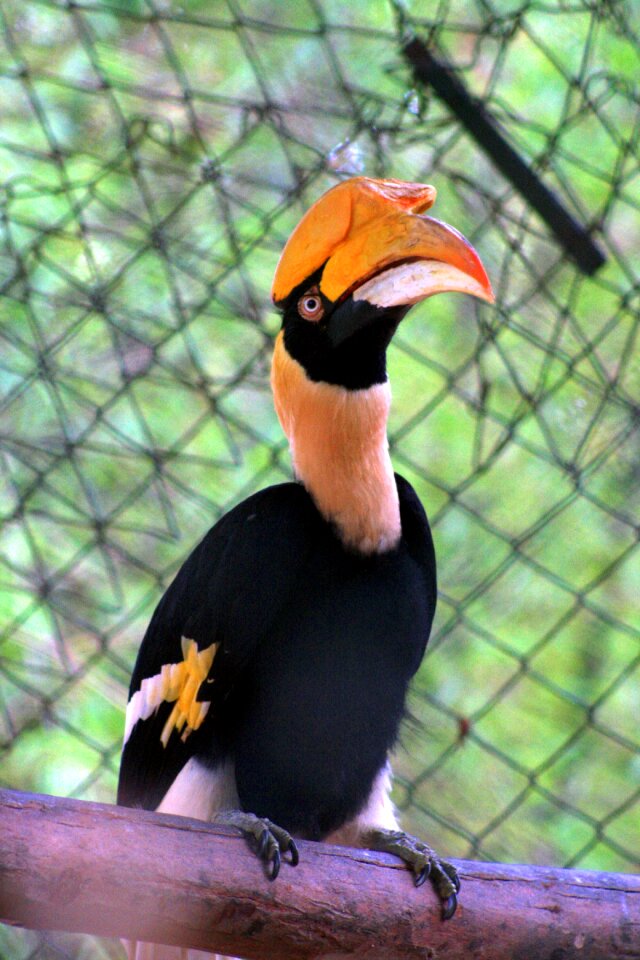 Exotic bannerghatta national park