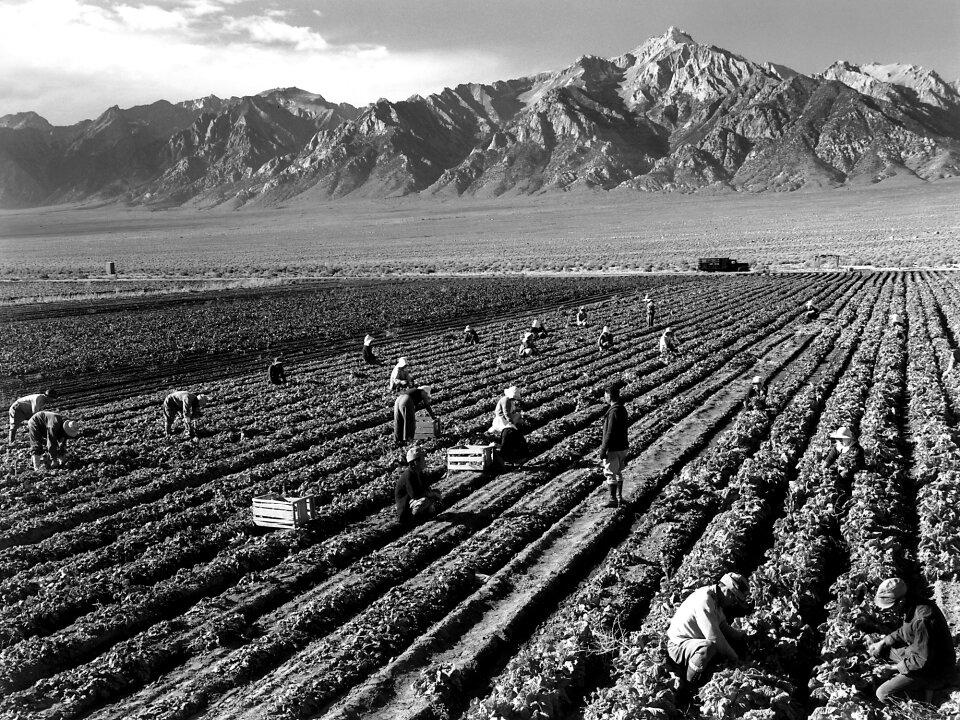 Ansel adams black and white farmers