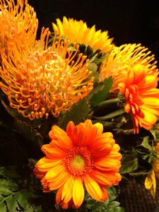 Plant flowers posy