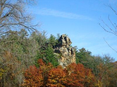 Tree rock wisconsin photo