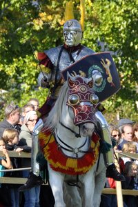 Fight horse roman days