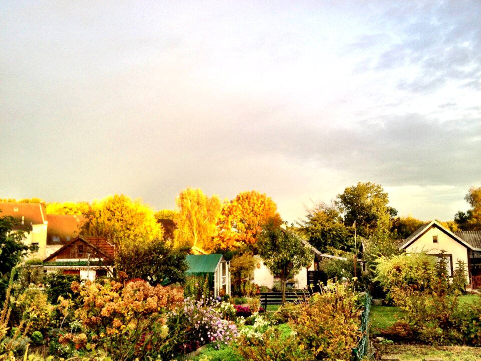 Allotment gold light