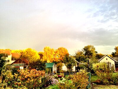 Allotment gold light photo