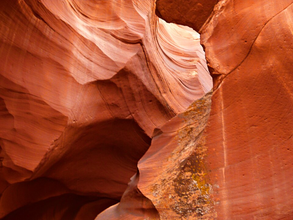 Usa sandstone desert
