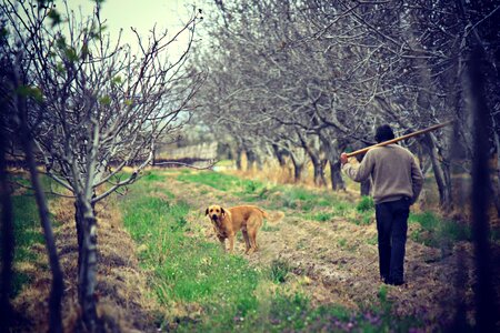 Man worker fields photo