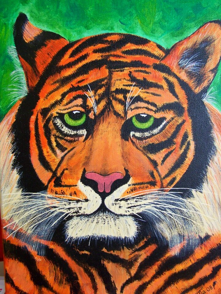 Tiger wild painted