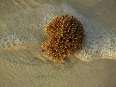 Water sun summer