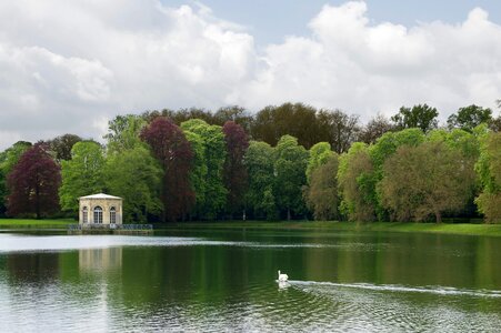 Pond garden trees