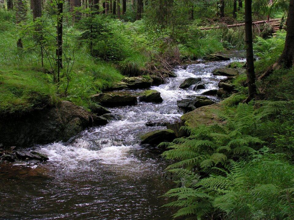 Greifenbach germany nature