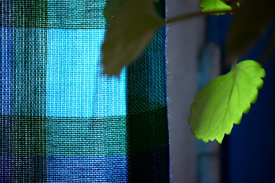 Green leaves curtain