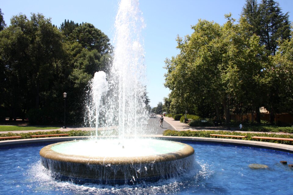 Stanford university university stanford