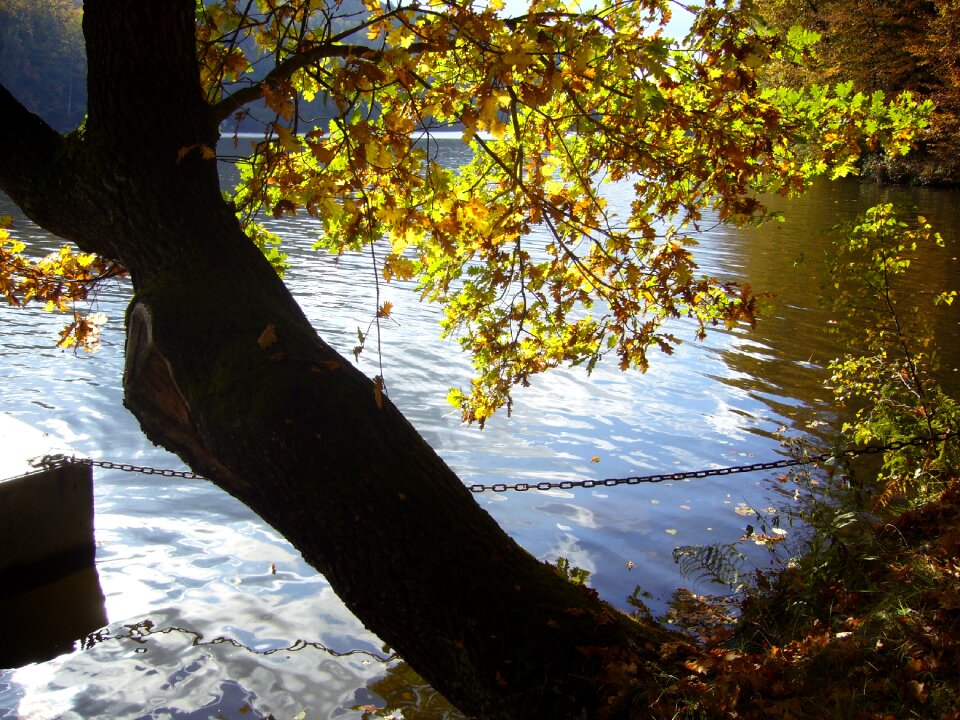 Dam kriebstein autumn