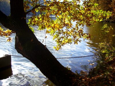 Dam kriebstein autumn