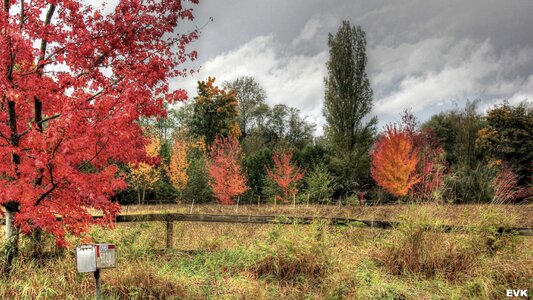 Nature landscape background