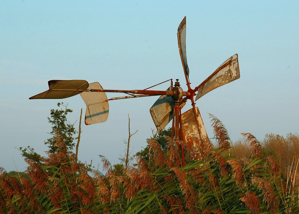 Vane bookmark wind direction sensor
