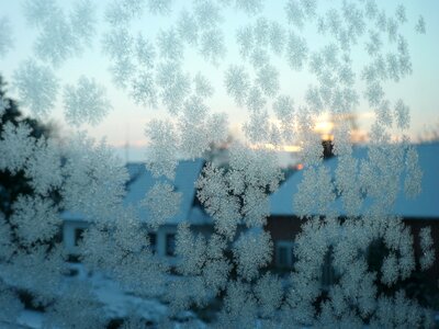 Winter winter magic cold