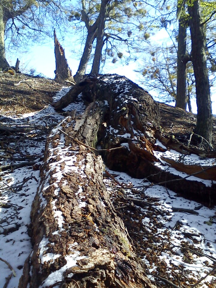 Mountain winter snow