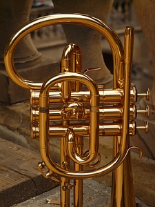 Instrument gloss gold