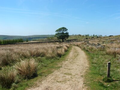 Path sky scenery
