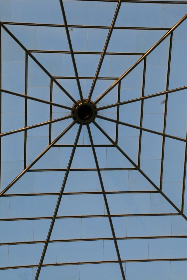 Arquitechture skylight lines
