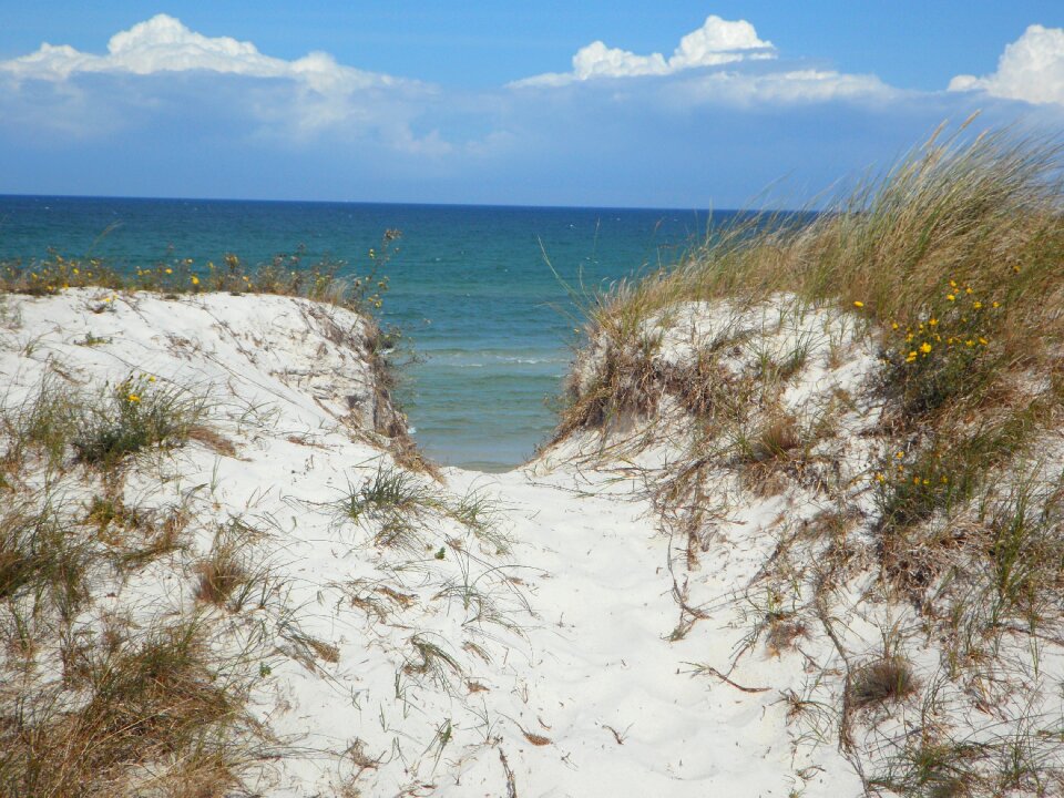 Dune ridge path white sand