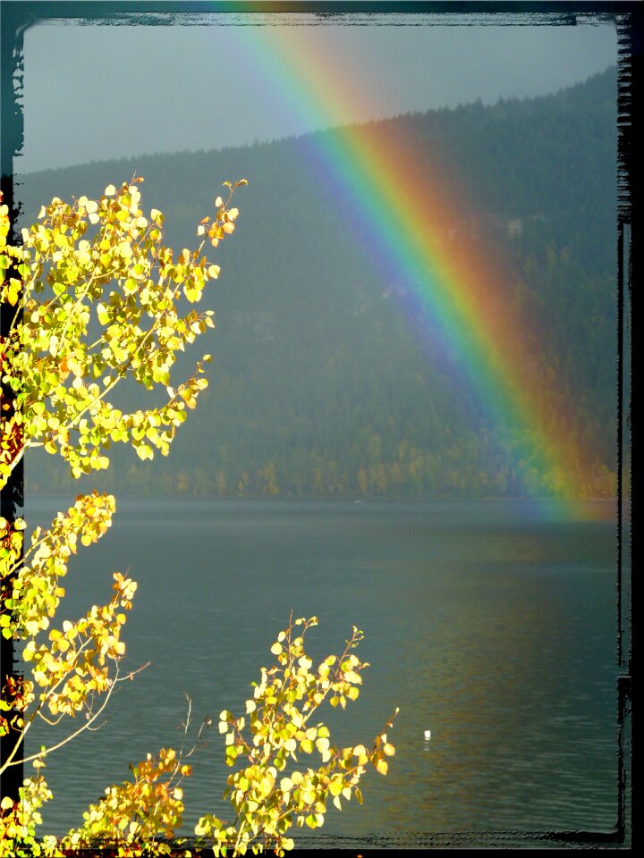 Rain frame landscape