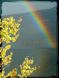 Rain frame landscape