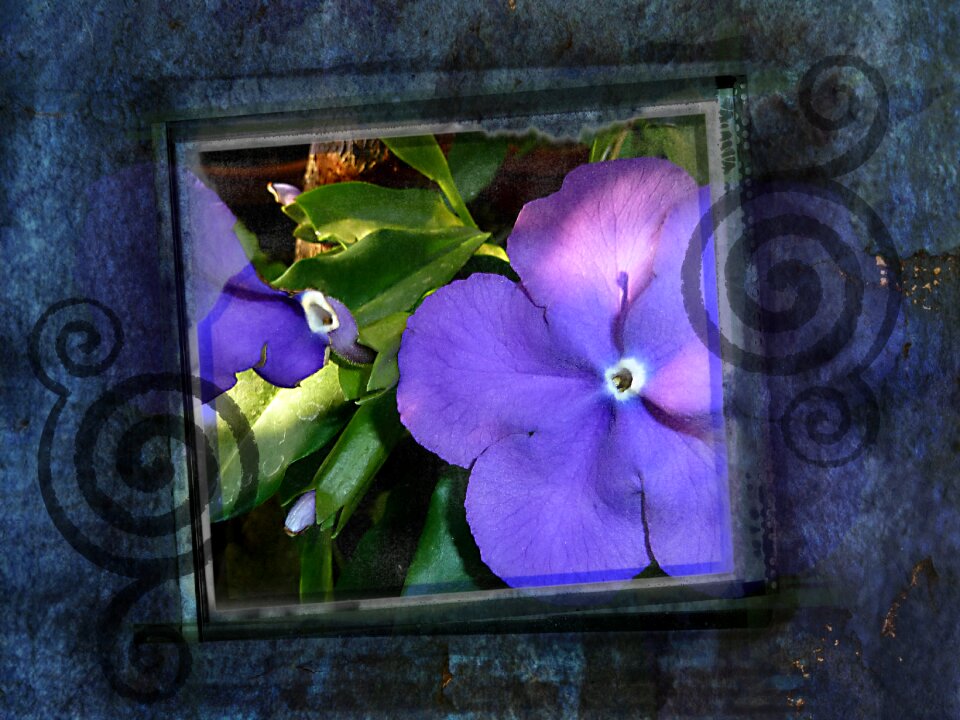 Embellishment texture artwork