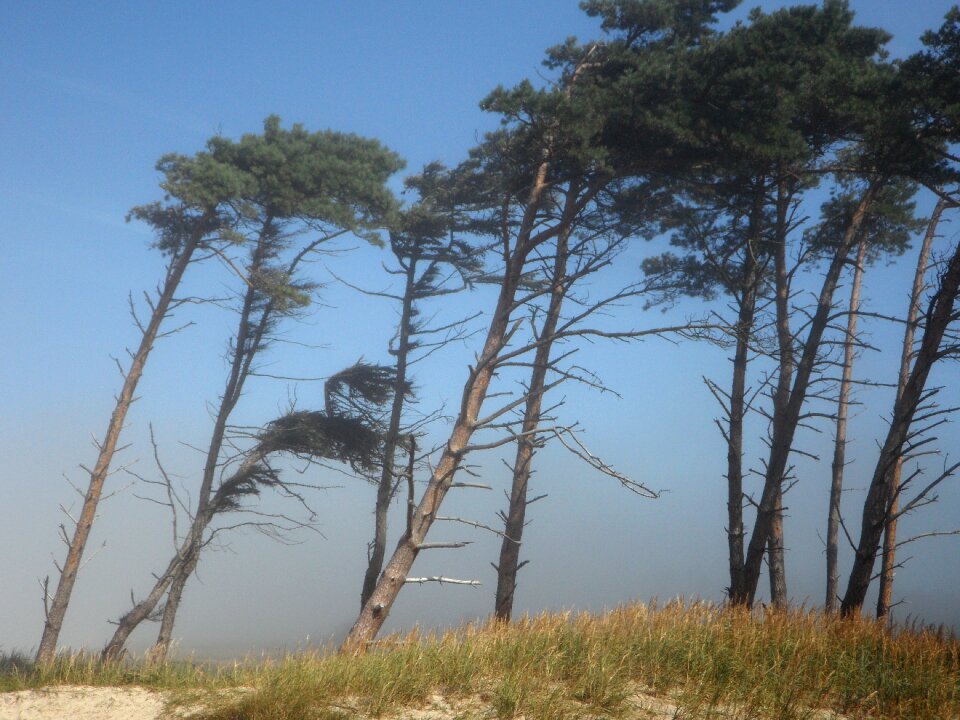 Coast beach sea