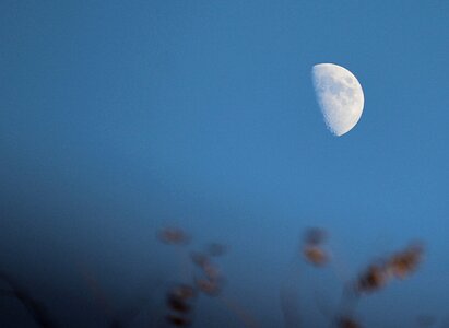 Orb sky evening