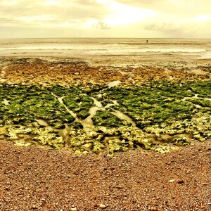Stone sea coast
