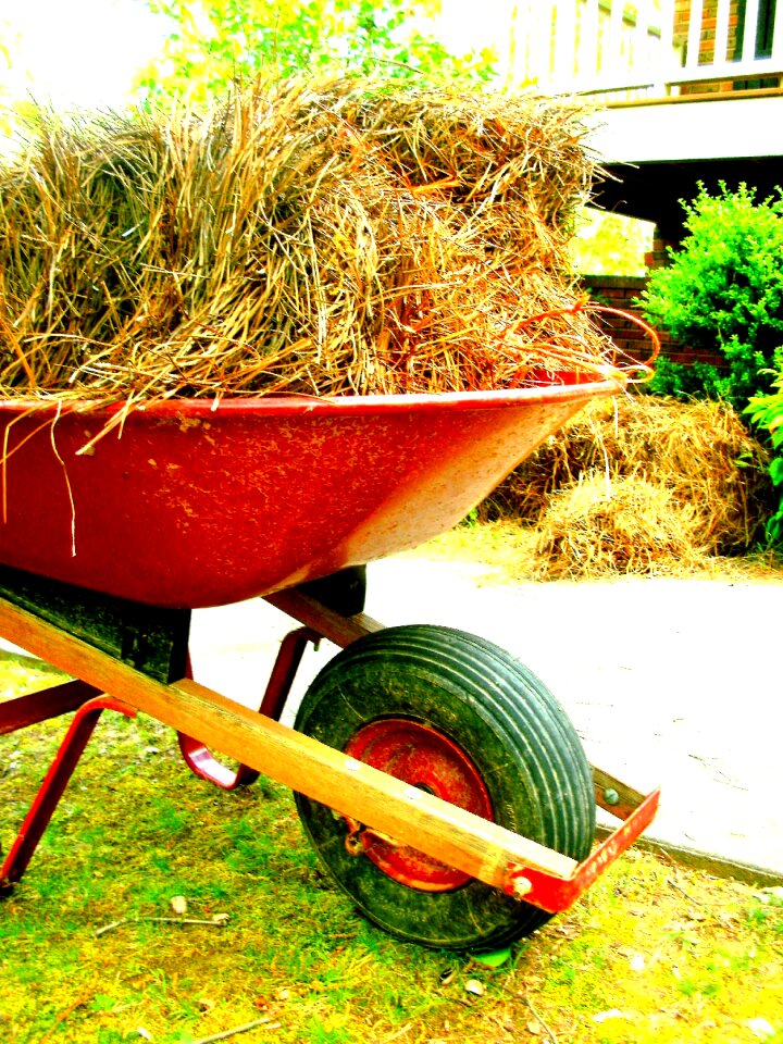 Equipment pine straw wheel
