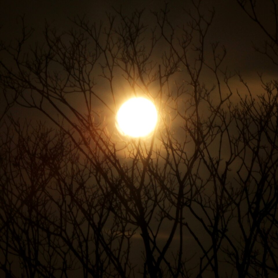 Silhouette sky dark