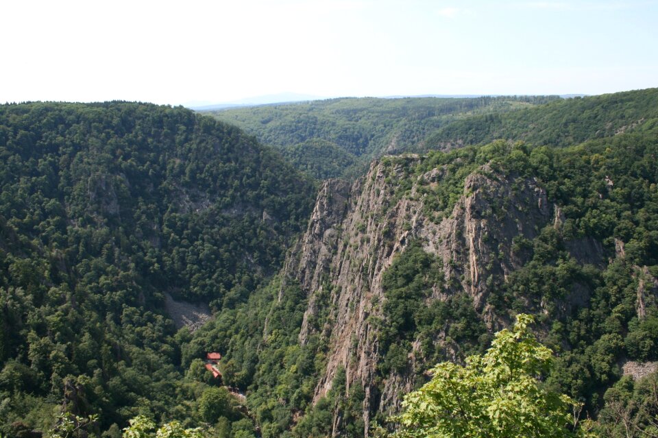 Resin hexentanzplatz forest