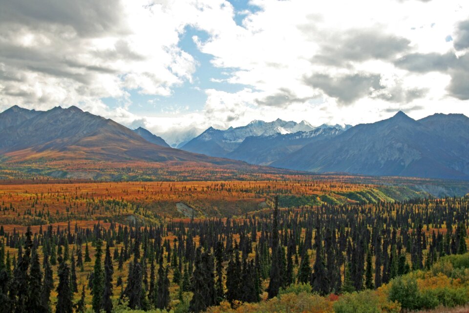 Wilderness mountain woods countryside