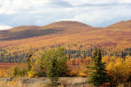 Mountain mountains grass photo