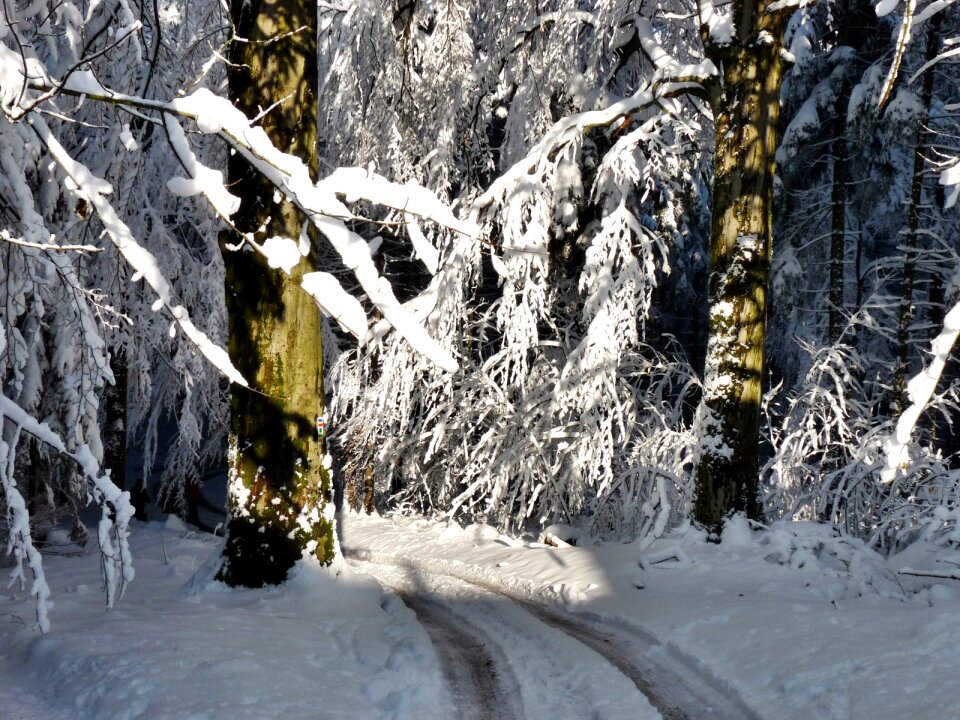 Snow ice cold