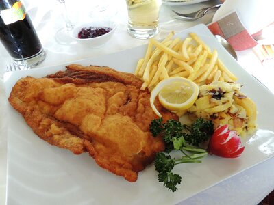 Lemon french fries dine