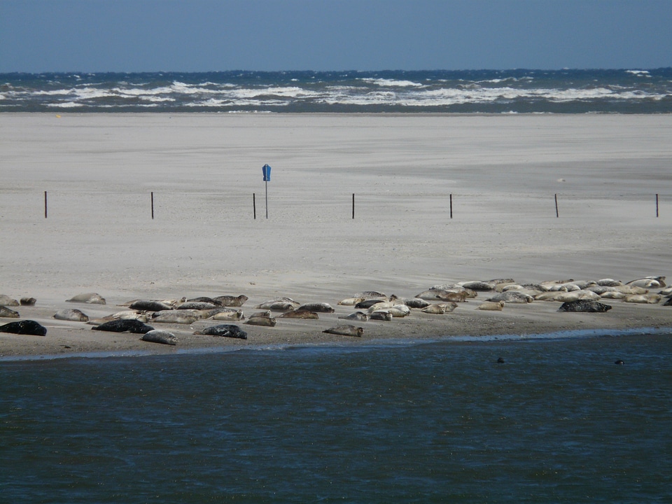 North sea baltrum island