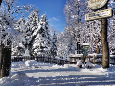 Saxon switzerland landscape cold