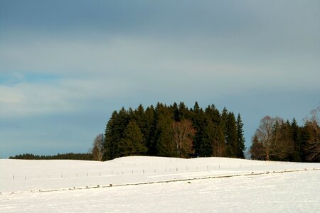 Winter snow field photo