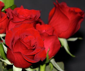 Fragrant perfume pretty