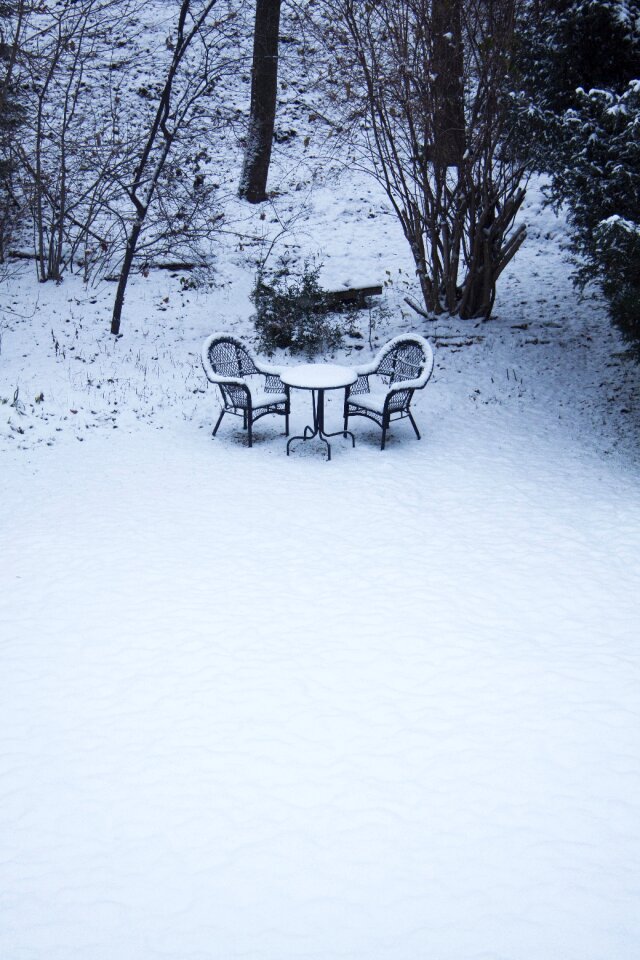 December in the free white