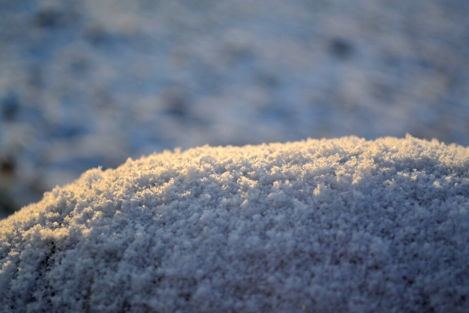 Frost texture cold