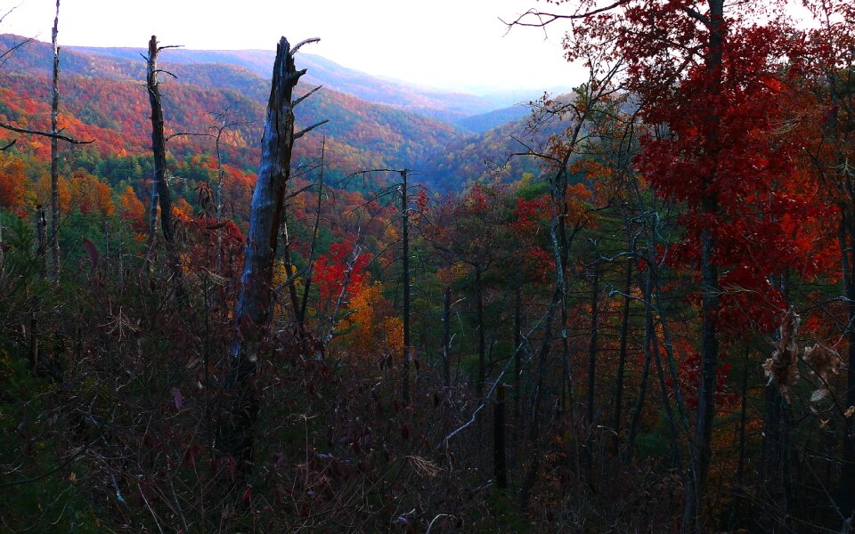 Autumn seasons valley