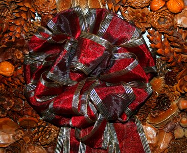 Pine cones dried teasel nut shells photo