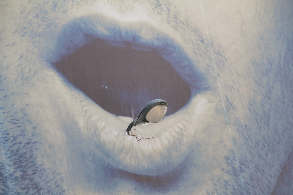 Lips creasy thick lip risk